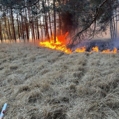 Natuurbrand Drunen
